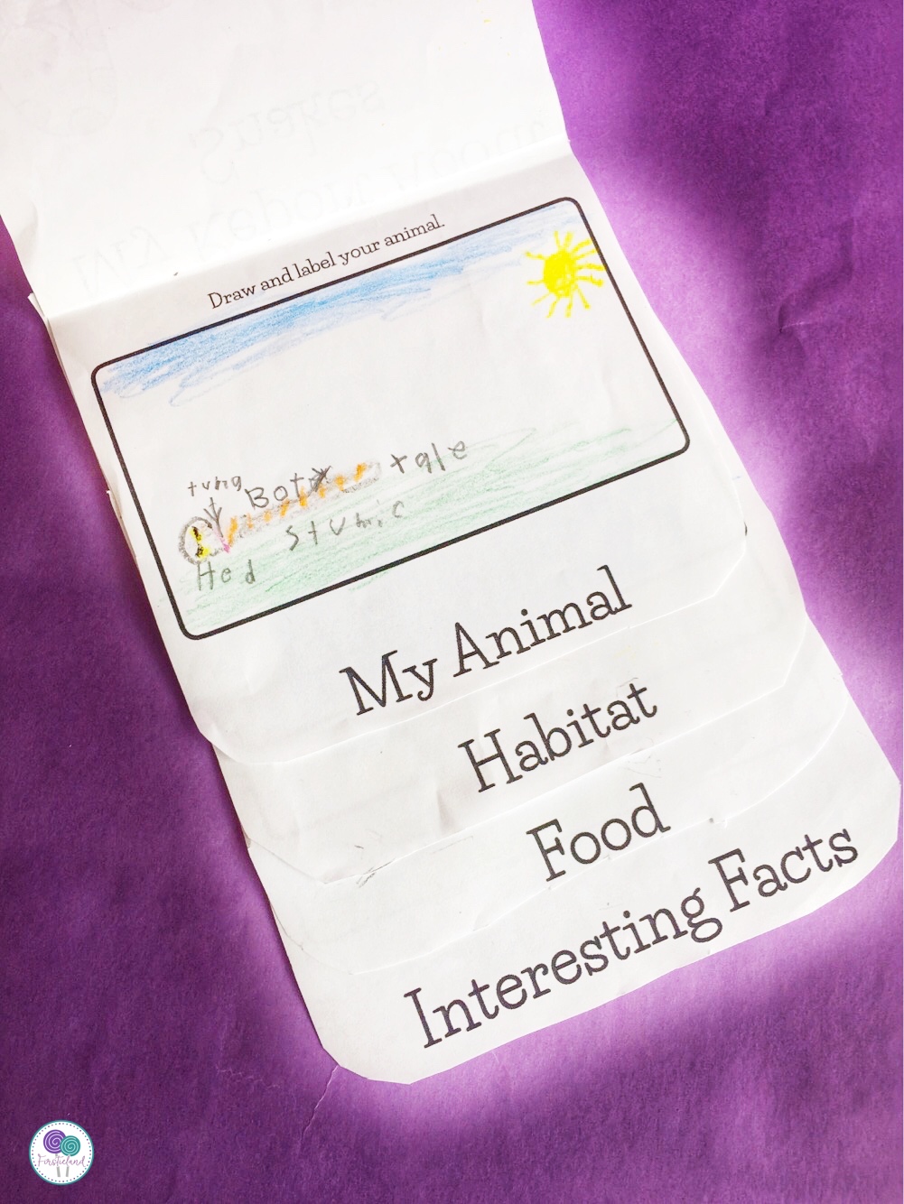 animal habitat flip book