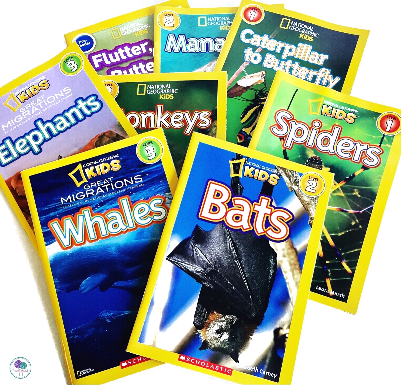 animal books for first grade