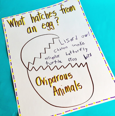 What hatches from an egg?
