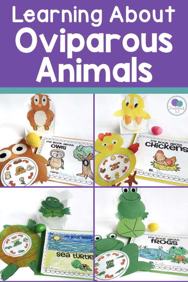 oviparous animal activities for first grade
