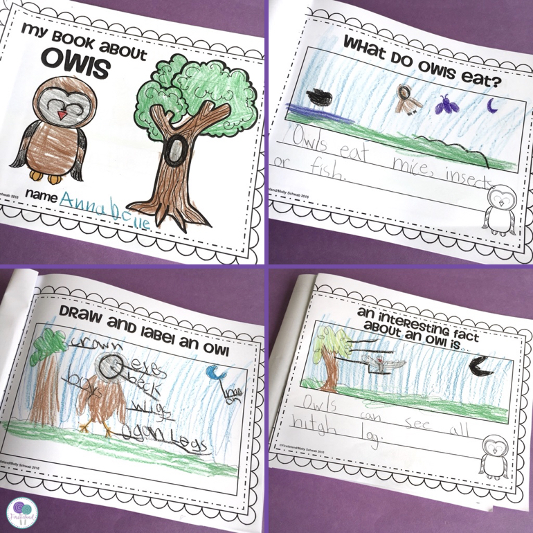 owl activities for first grade