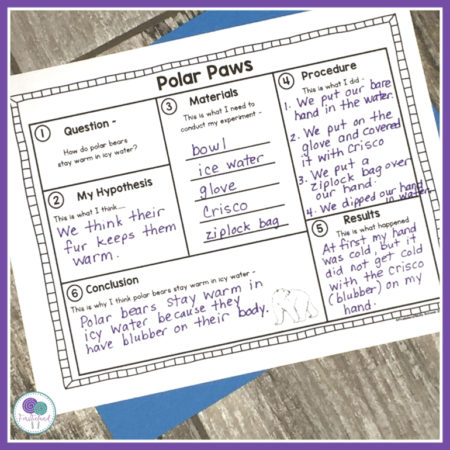 Polar bear activities for elementary with writing activities, Google slides, and blubber experiment. 