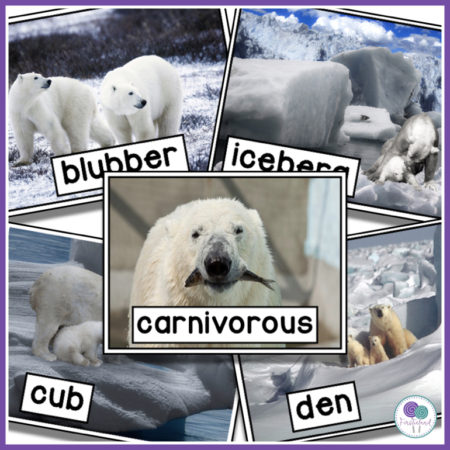 Polar bear activities for elementary with writing activities, Google slides, and blubber experiment. 