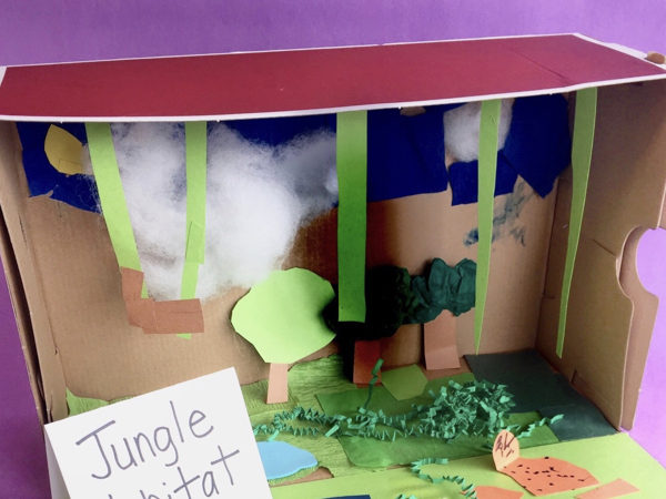 Animal Habitats – A First Grade Research Project