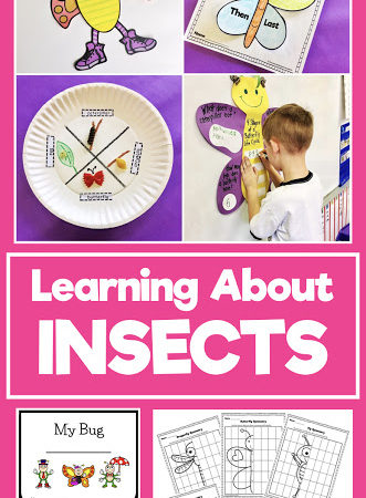 Insect Activities in First Grade