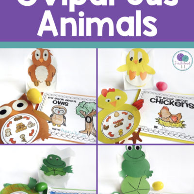 oviparous animal activities for first grade