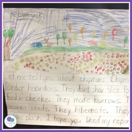 First grade report about chipmunks. 