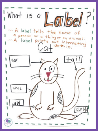First grade writing activity- label a cat