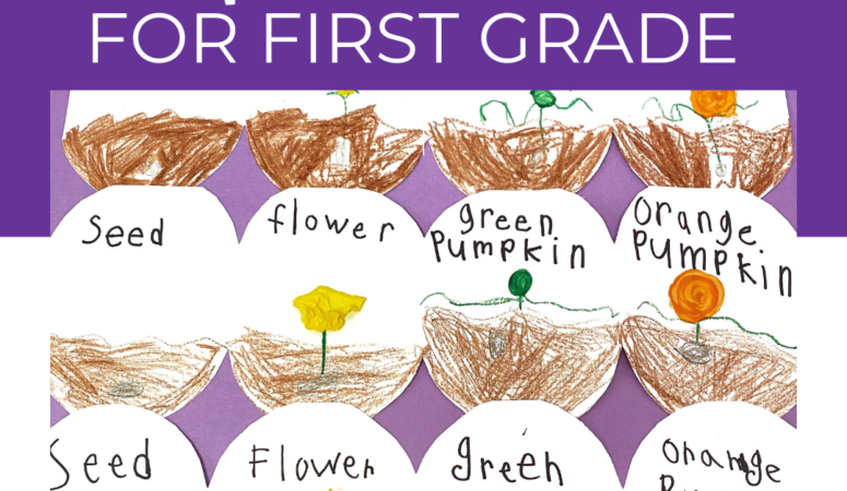 Best Pumpkin Activities For Elementary Students In First Grade