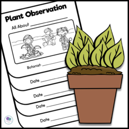 Plant Life Cycle Activities For Kids