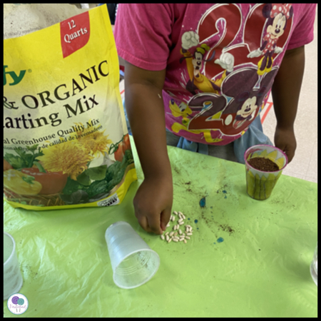 Plant Activities For Kids