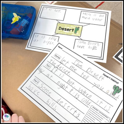 what is informational writing 1st grade