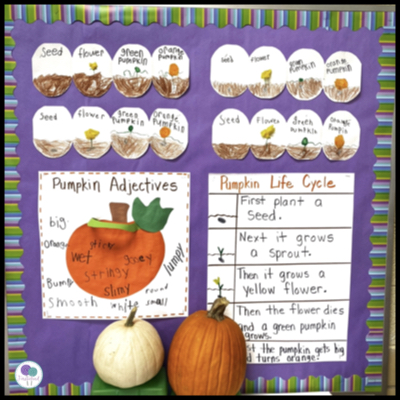 20 Simple Tips For Elementary Classroom Decor On A Budget - Firstieland -  First Grade Teacher Blog