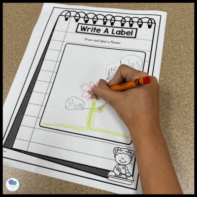 15 Easy Tips For Teaching First Grade & Kindergarten Writing ...