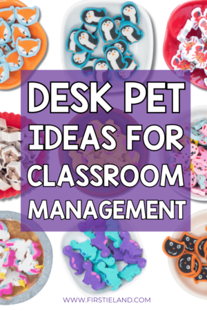 Desk Pet Houses Variety Theme  Classroom management, Classroom management  techniques, Positive classroom environment