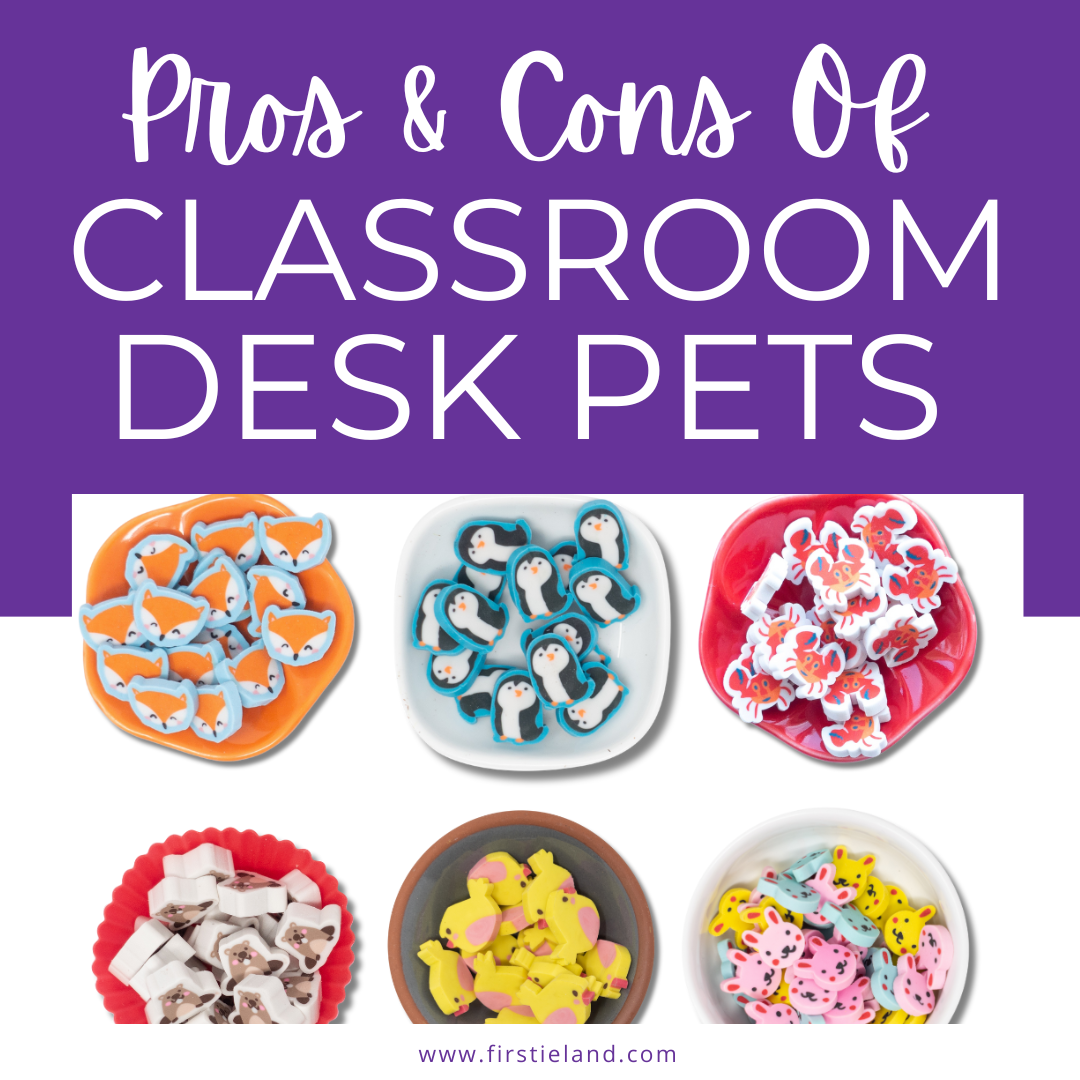 Desk Pet Houses Variety Theme  Classroom management, Classroom management  techniques, Positive classroom environment