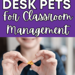 Desk pet ideas for classroom management with pros and cons.