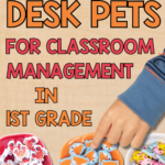 Desk pet ideas for classroom management with pros and cons.