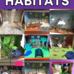 Animal habitats for kids in first grade