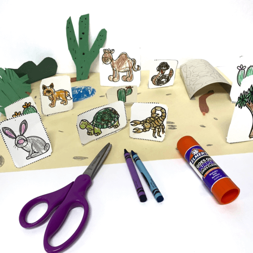 Animal habitats for kids in first grade