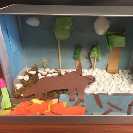 Animal habitats for kids in first grade